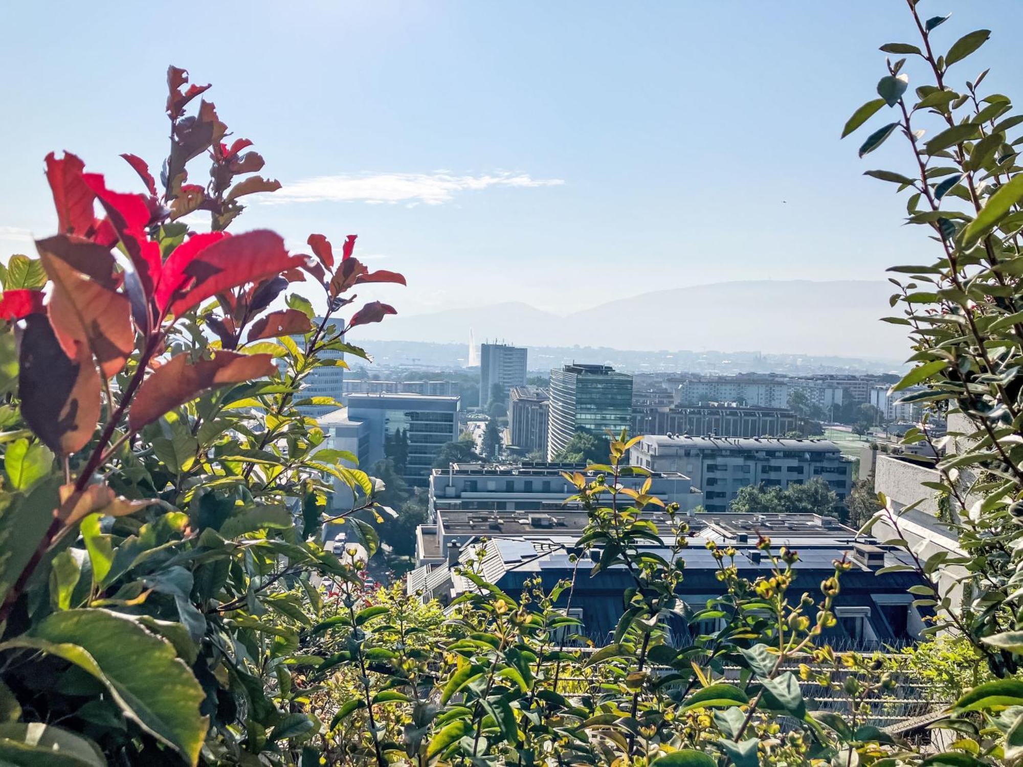 Ciomal By Interhome *